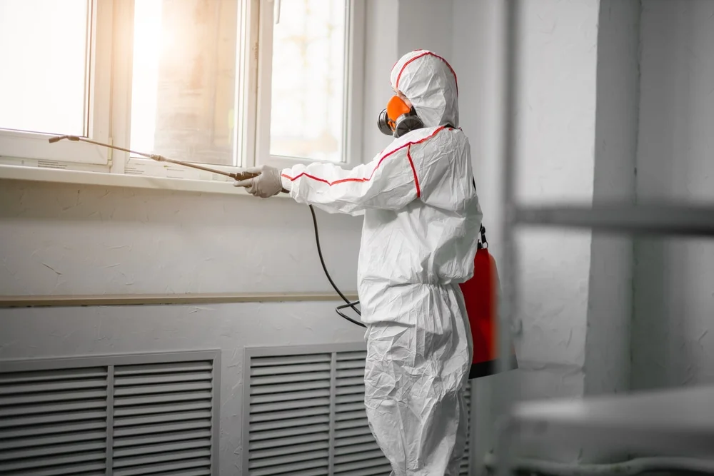 Professional mold remediation services in Luray, VA
